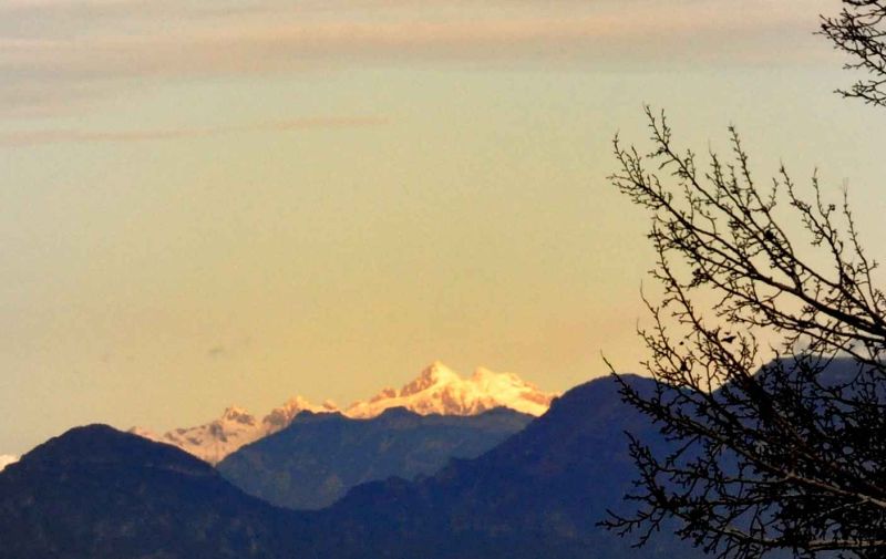 uno zoom di cima dasta.jpg